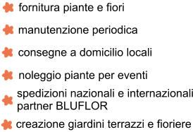 fornitura piante e fiori manutenzione periodica consegne a domicilio locali noleggio piante per eventi creazione giardini terrazzi e fioriere spedizioni nazionali e internazionali partner BLUFLOR